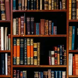 A set of bookshelves containing a variety of old books