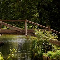 A wooden bridge spanning the River Cam in the grounds of Darwin College