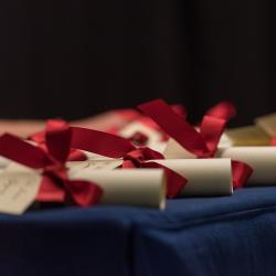 Photo of Pilkington Prize certificates lined up