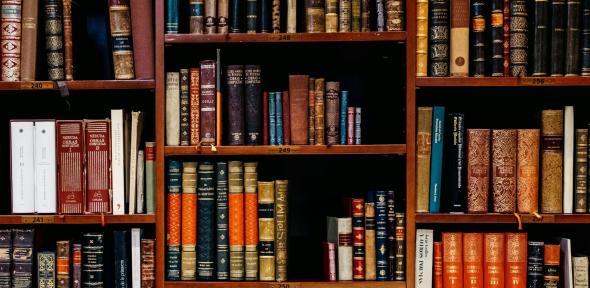 A set of bookshelves containing a variety of old books