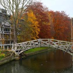 The Mathematical Bridge of Queens College spanning the river in autumn